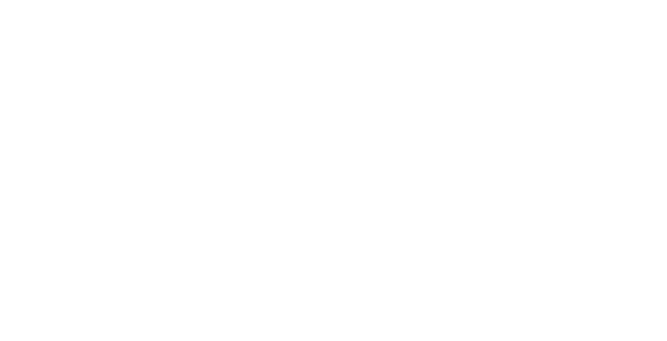 White VerifiedbyVISA